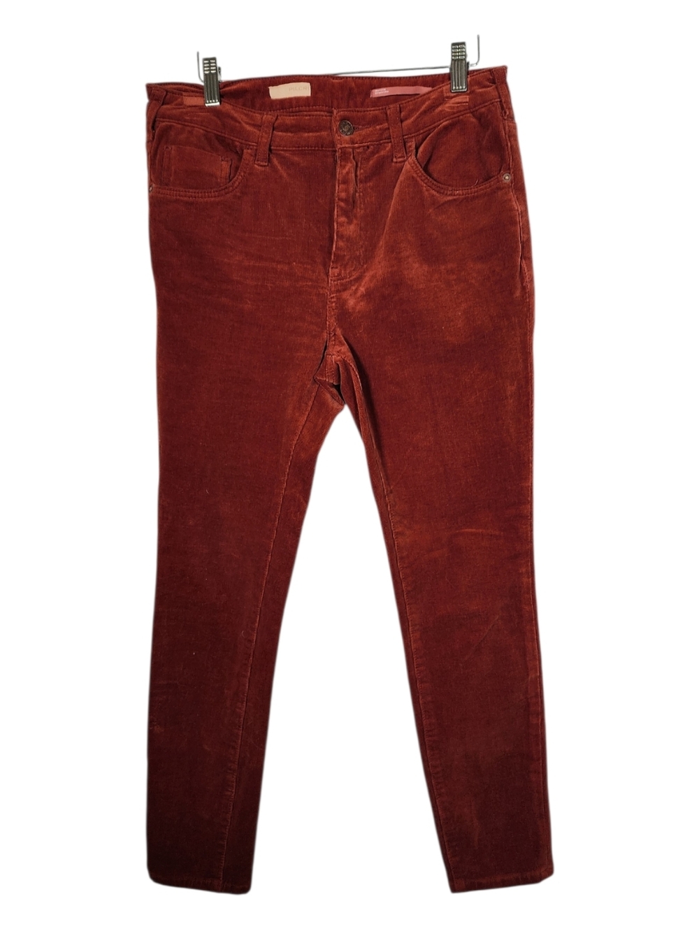 Pilcro Corduroy Pants in Rust